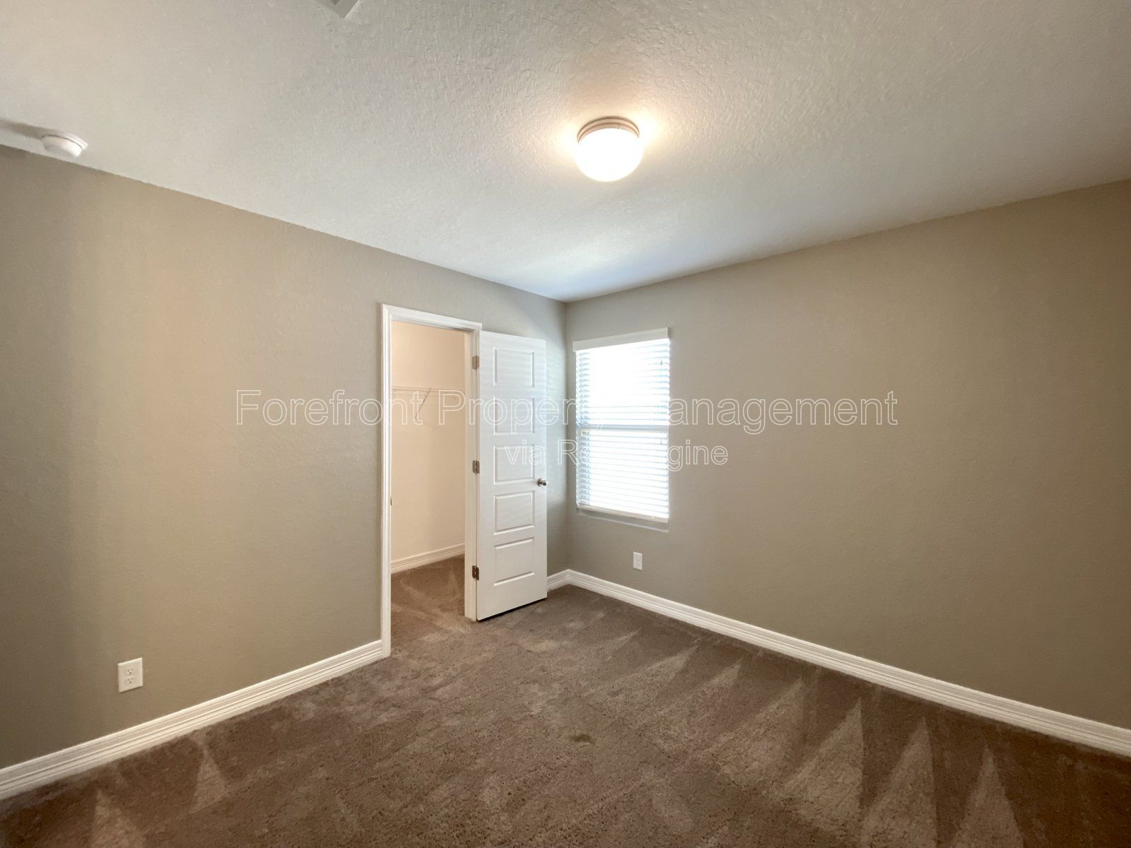 Gallery Image 78