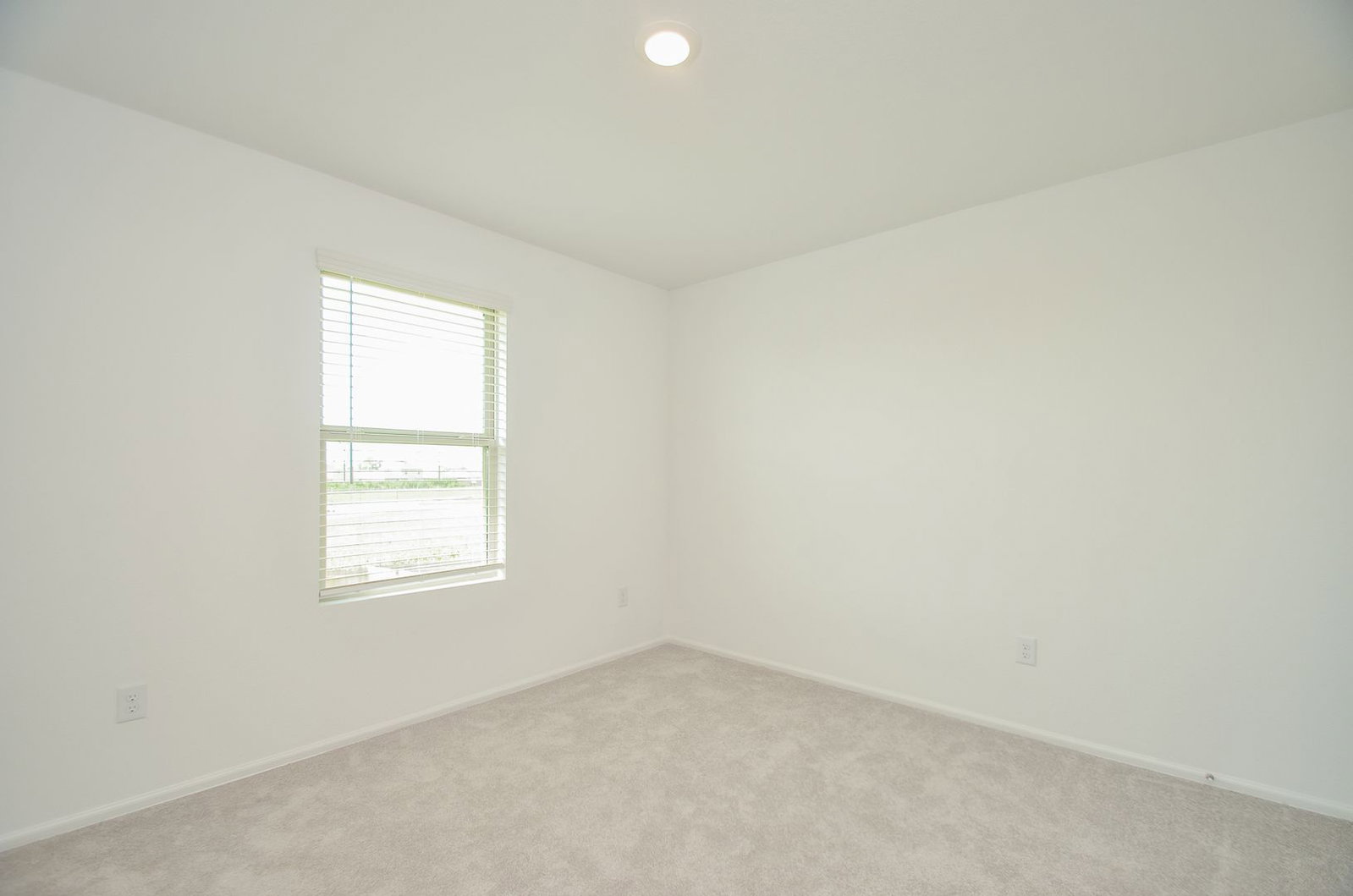 Gallery Image 19