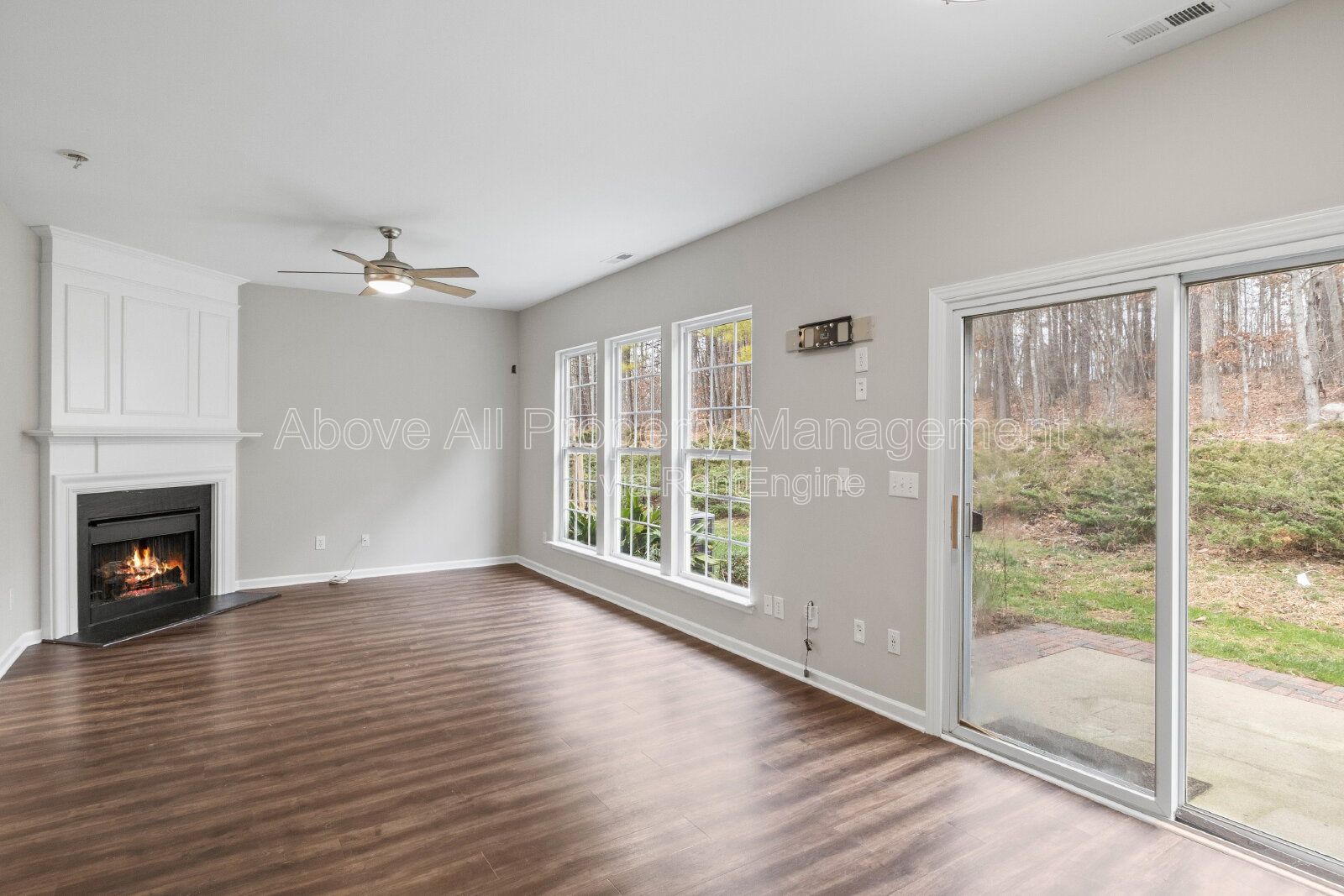 Gallery Image 15