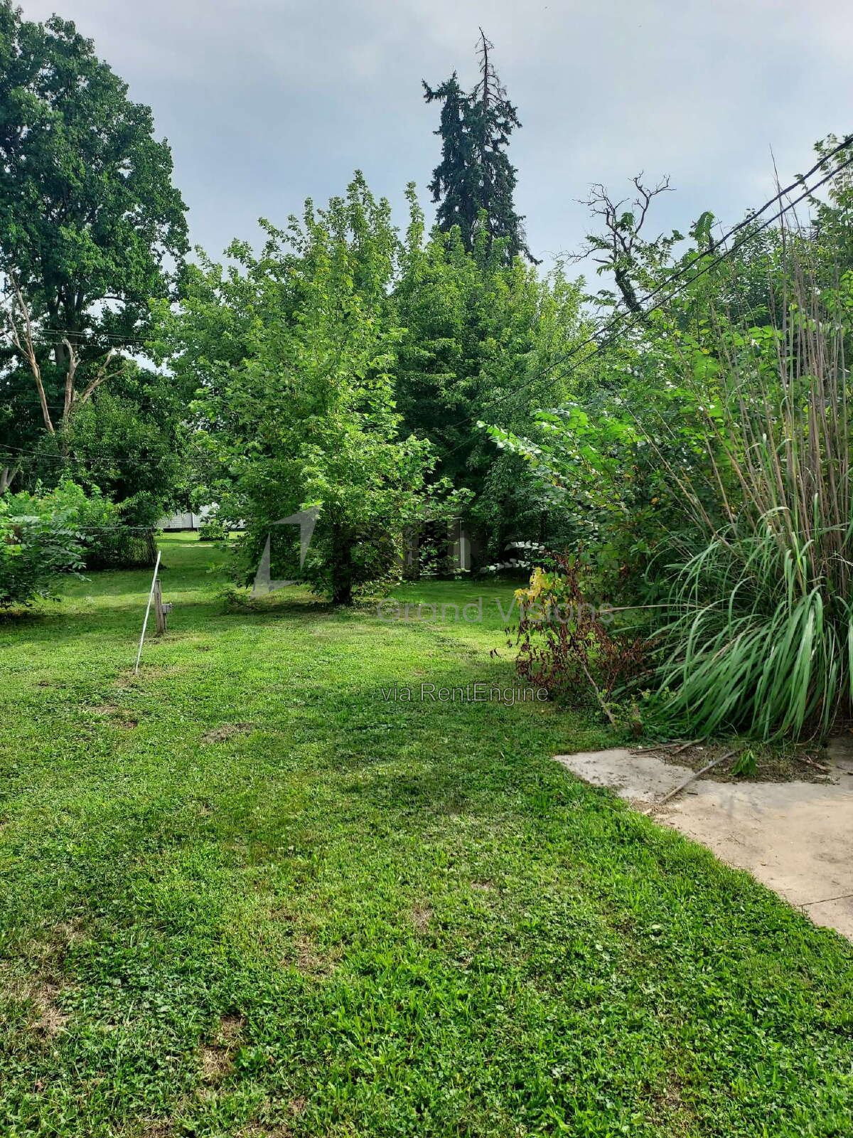 Gallery Image 15