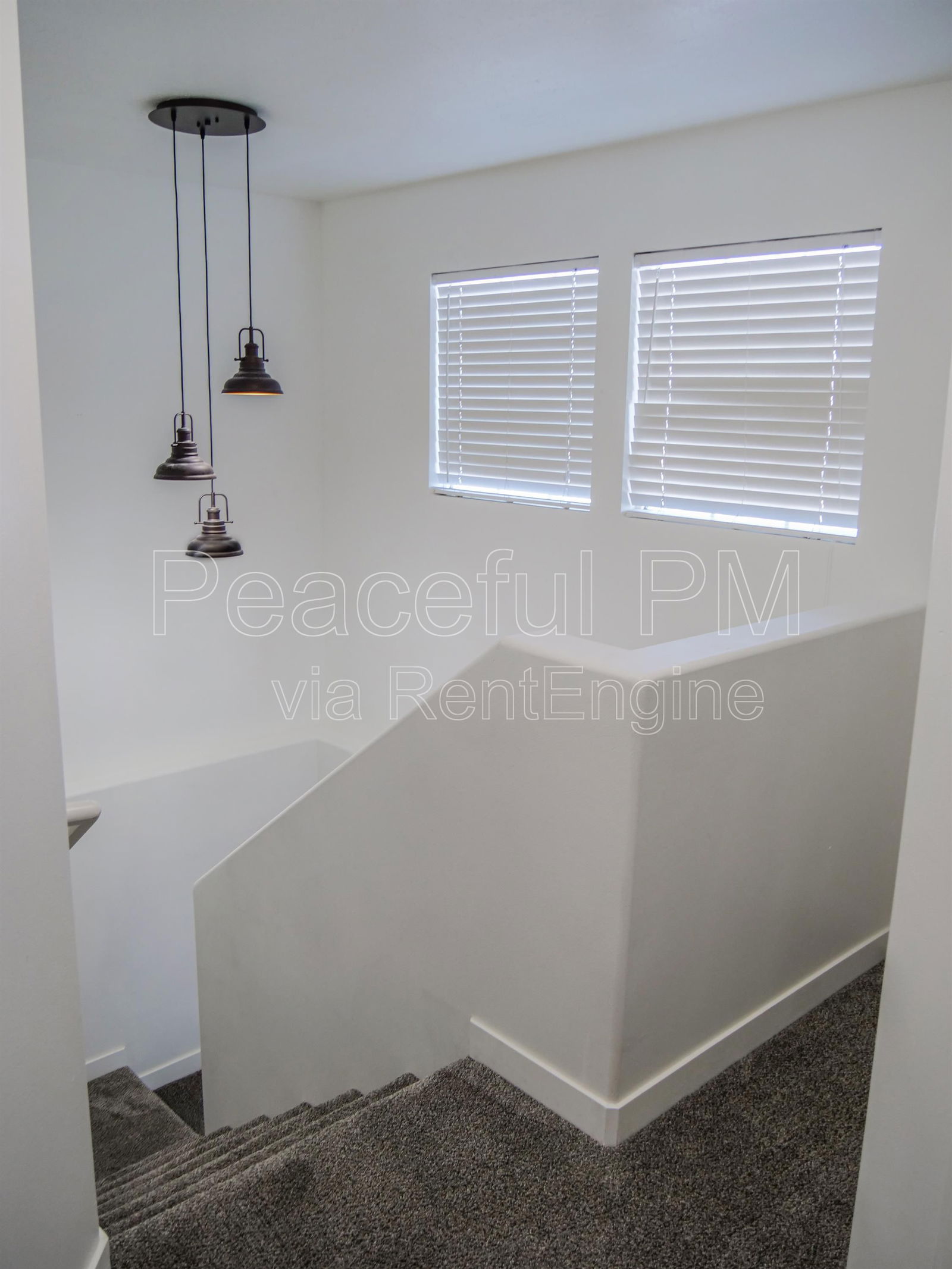 Gallery Image 17
