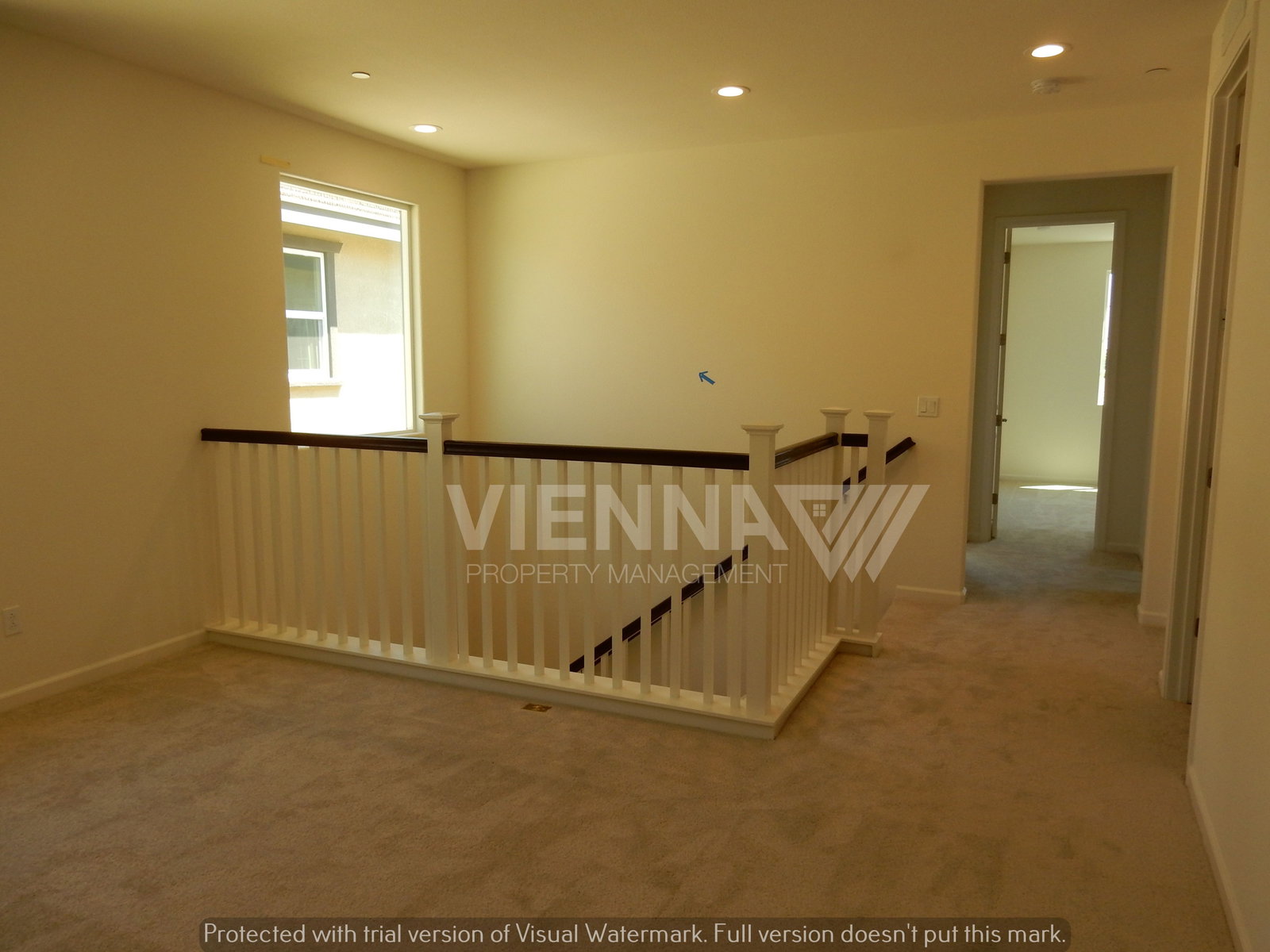 Gallery Image 20