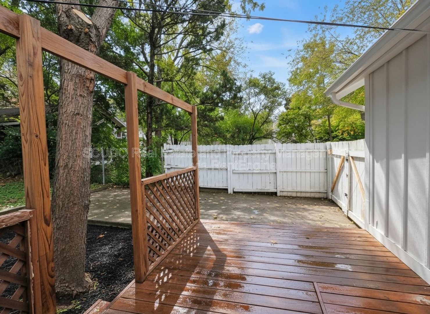 Gallery Image 9