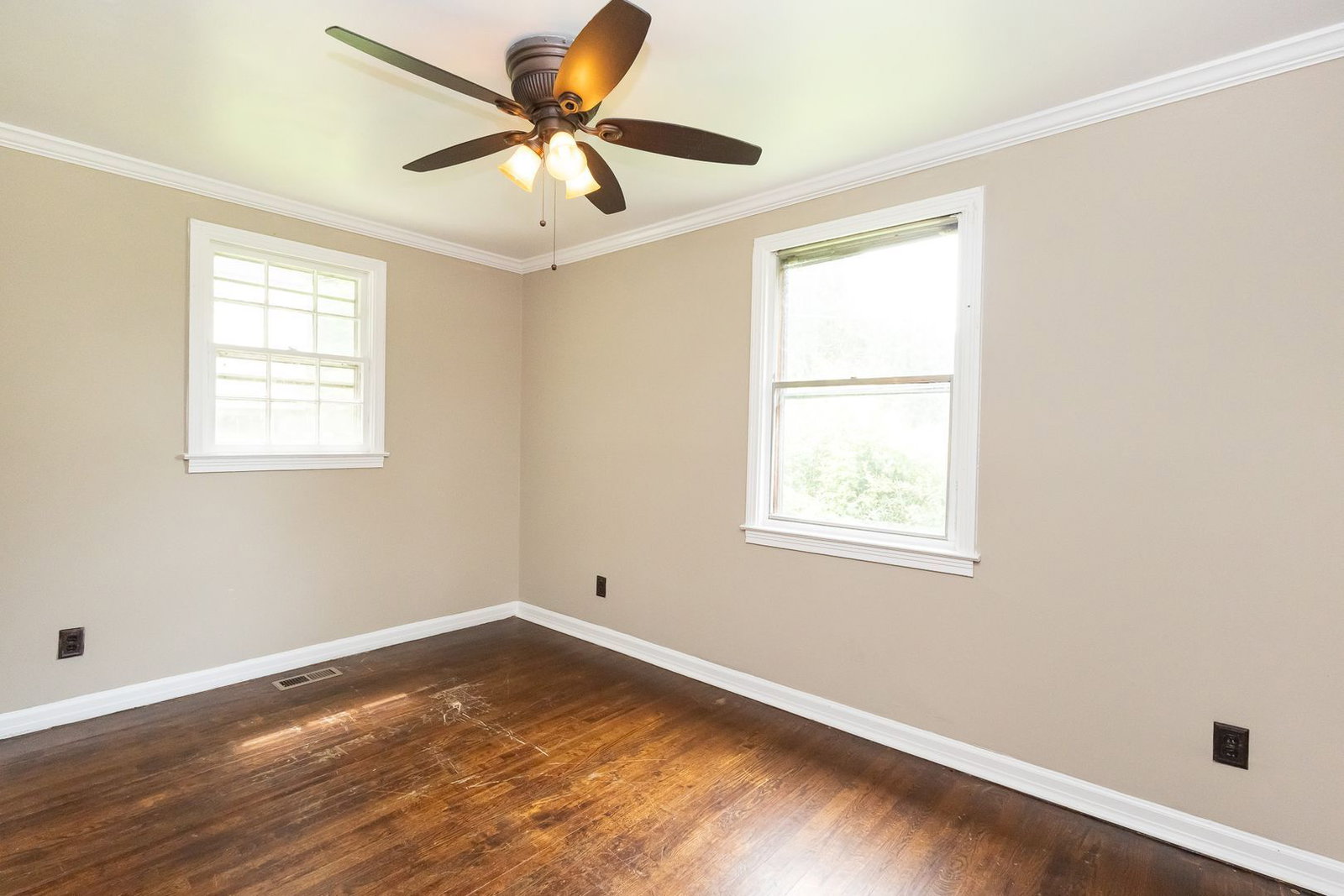 Gallery Image 8