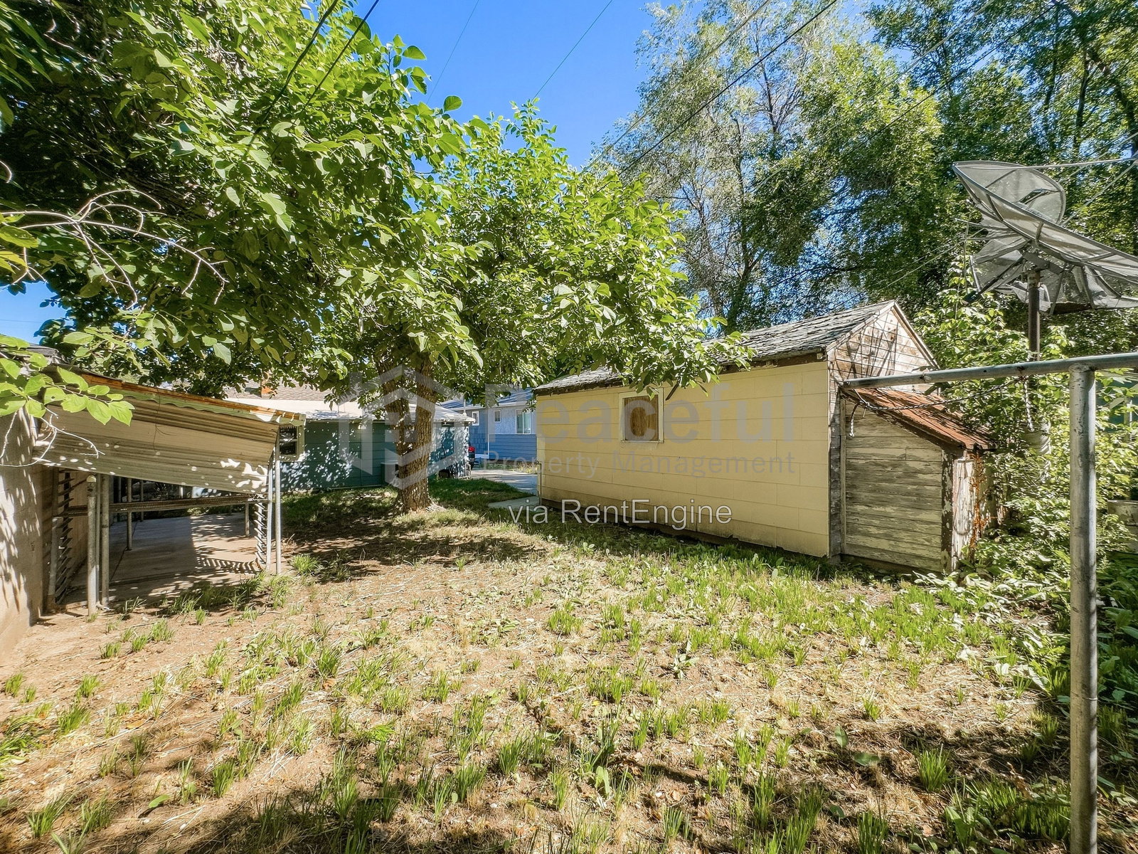 Gallery Image 13