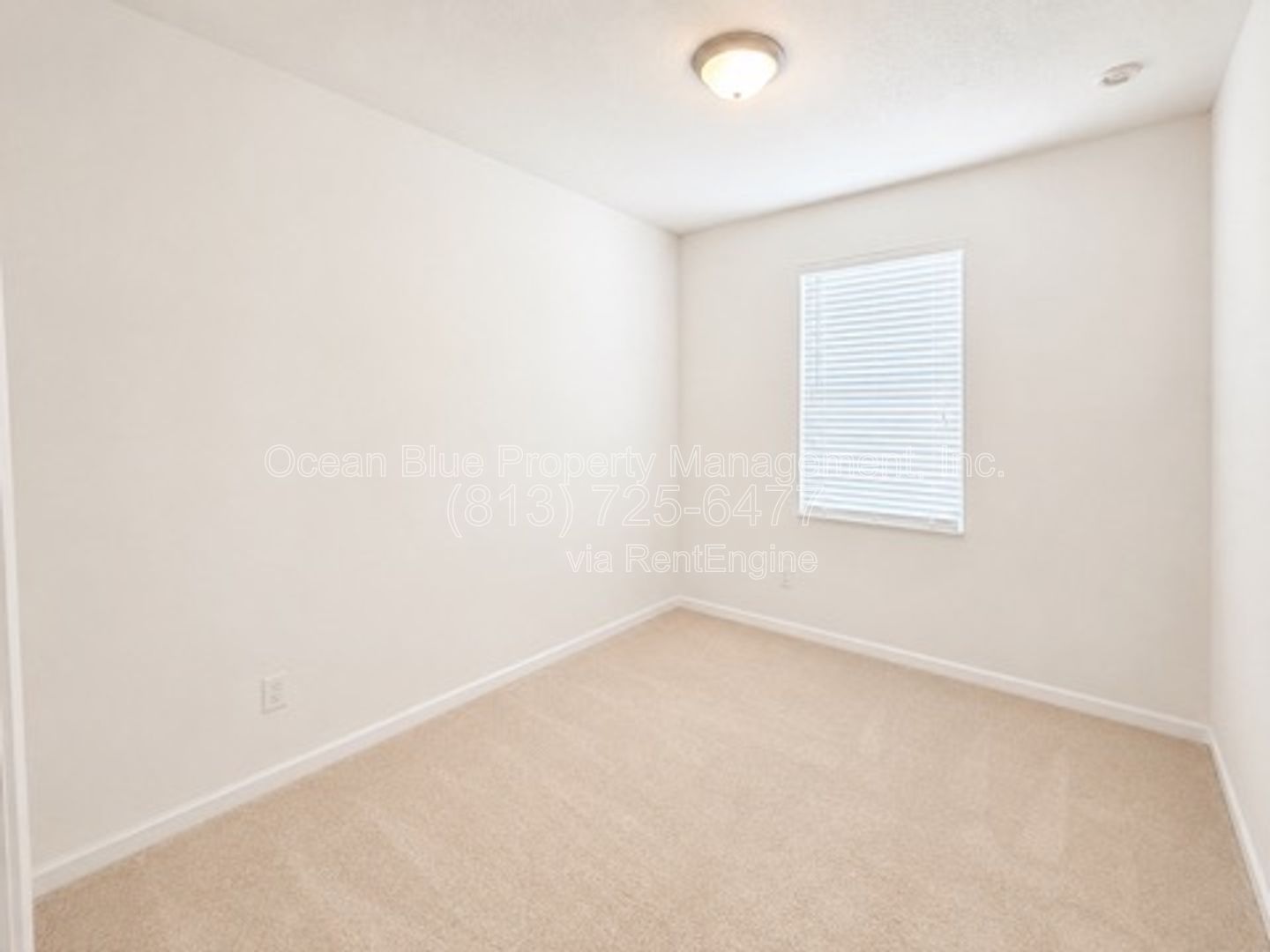 Gallery Image 20