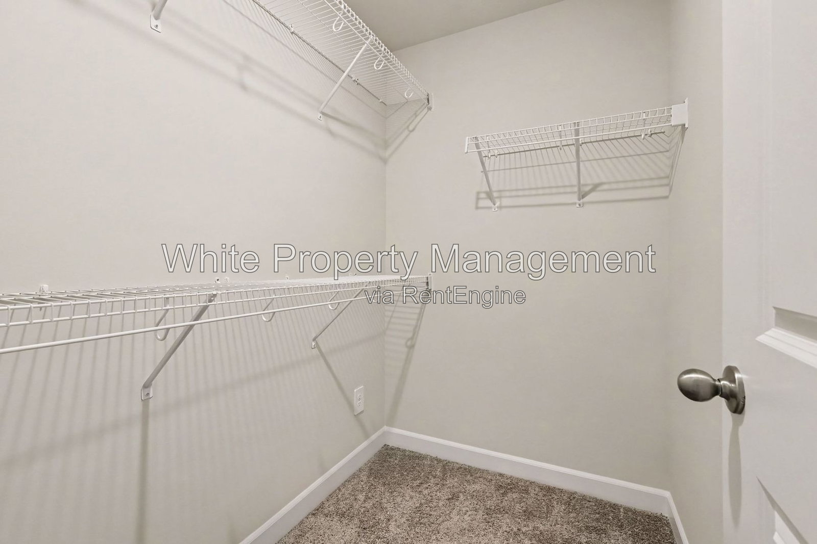 Gallery Image 19
