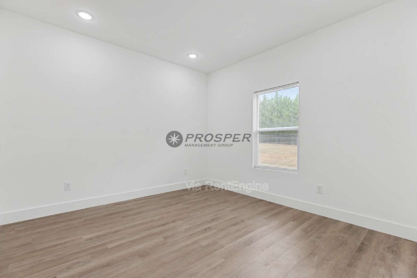 Gallery Image 31