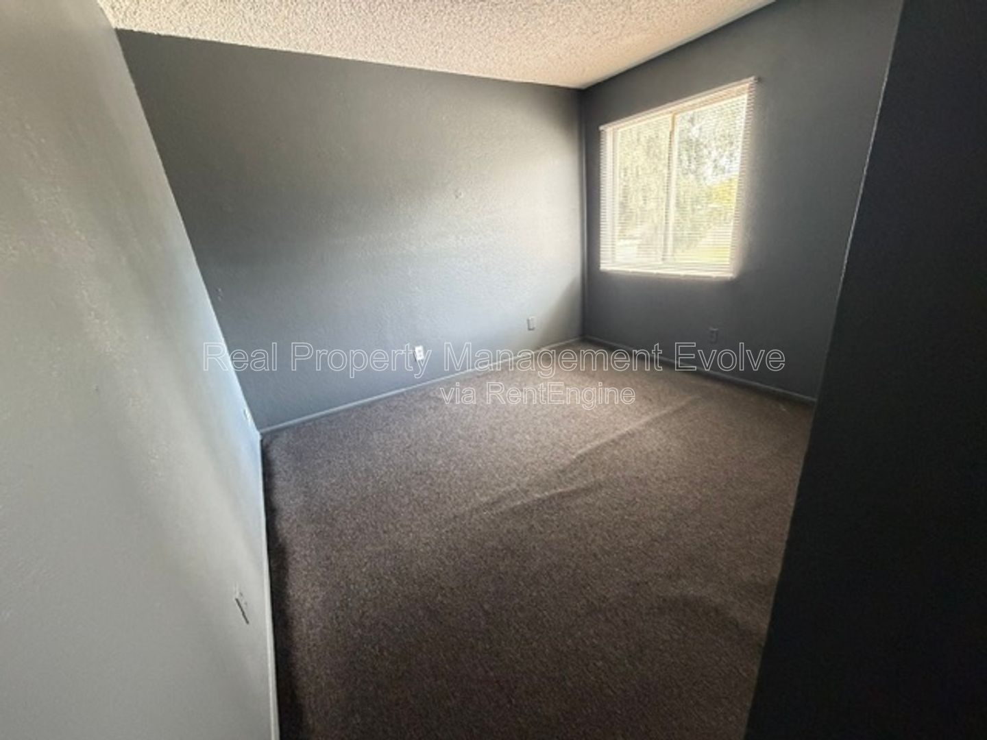 Gallery Image 20