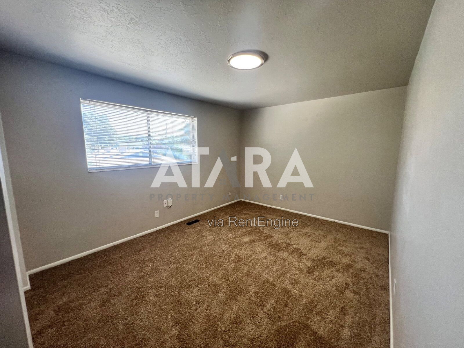 Gallery Image 20