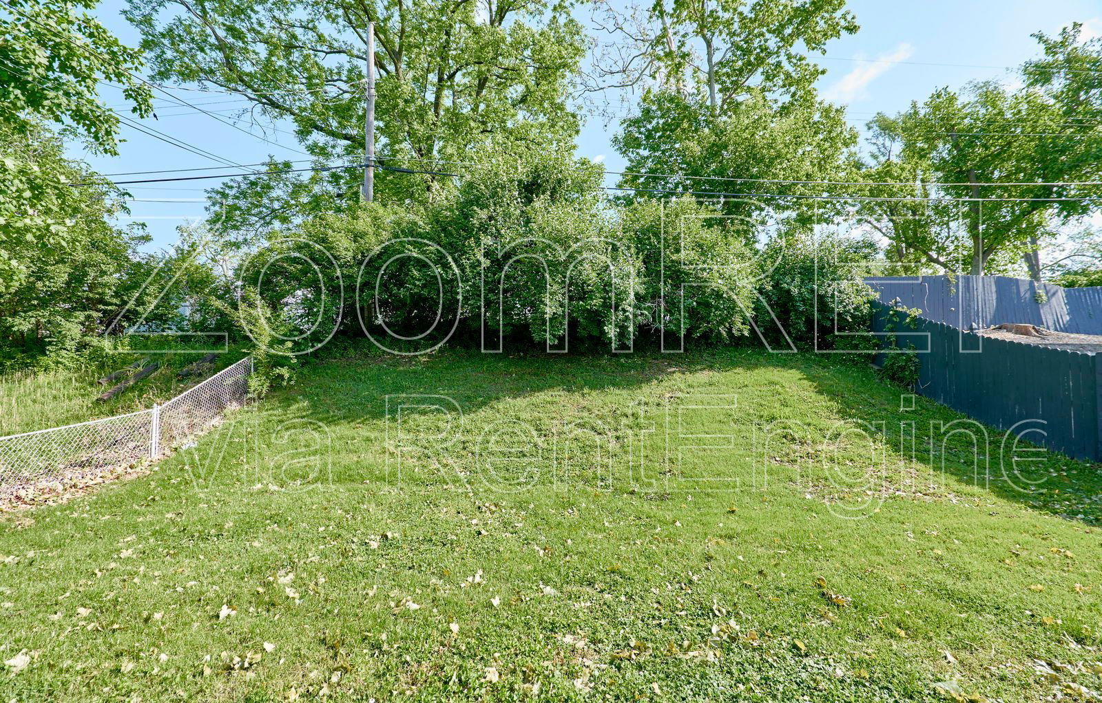 Gallery Image 50