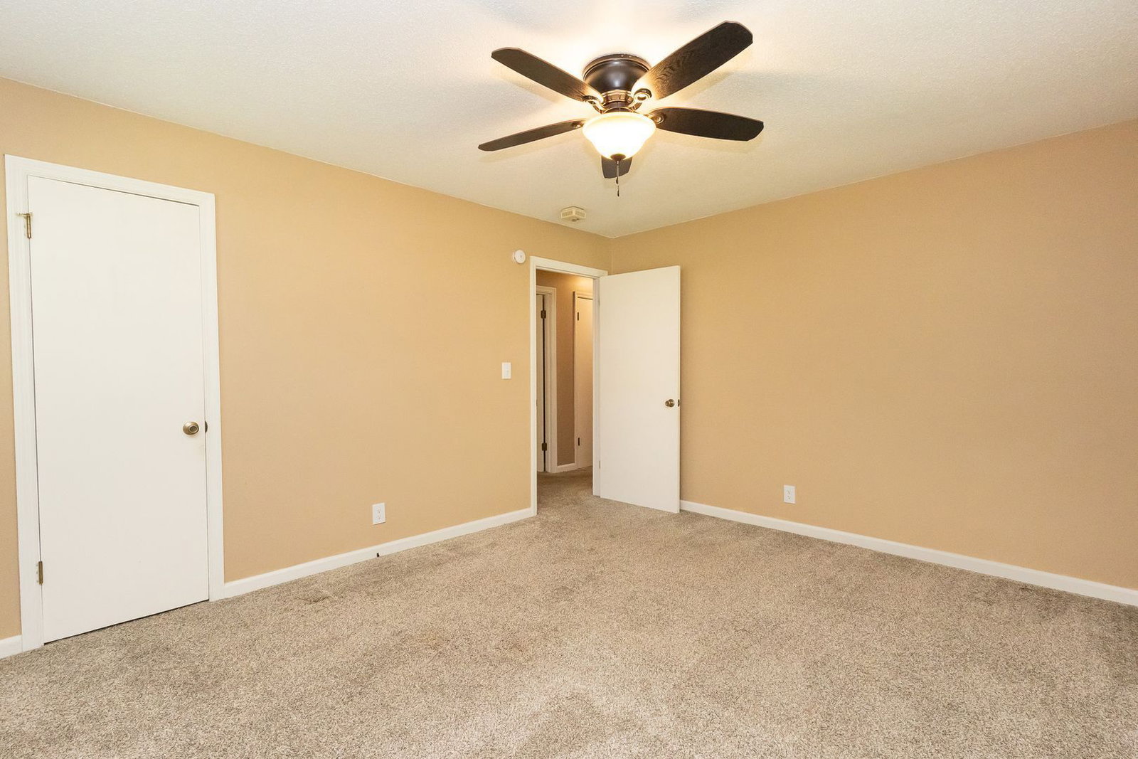 Gallery Image 17