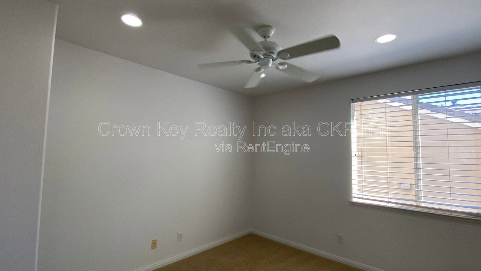 Gallery Image 19