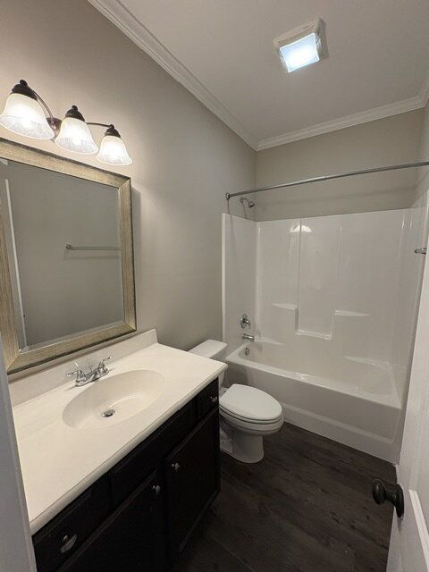Gallery Image 16