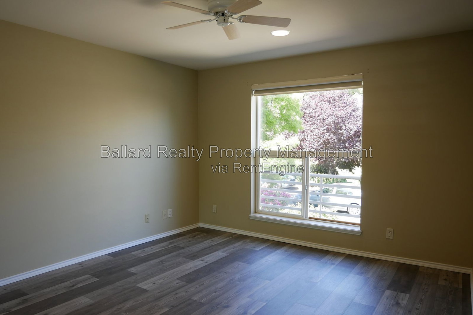 Gallery Image 18