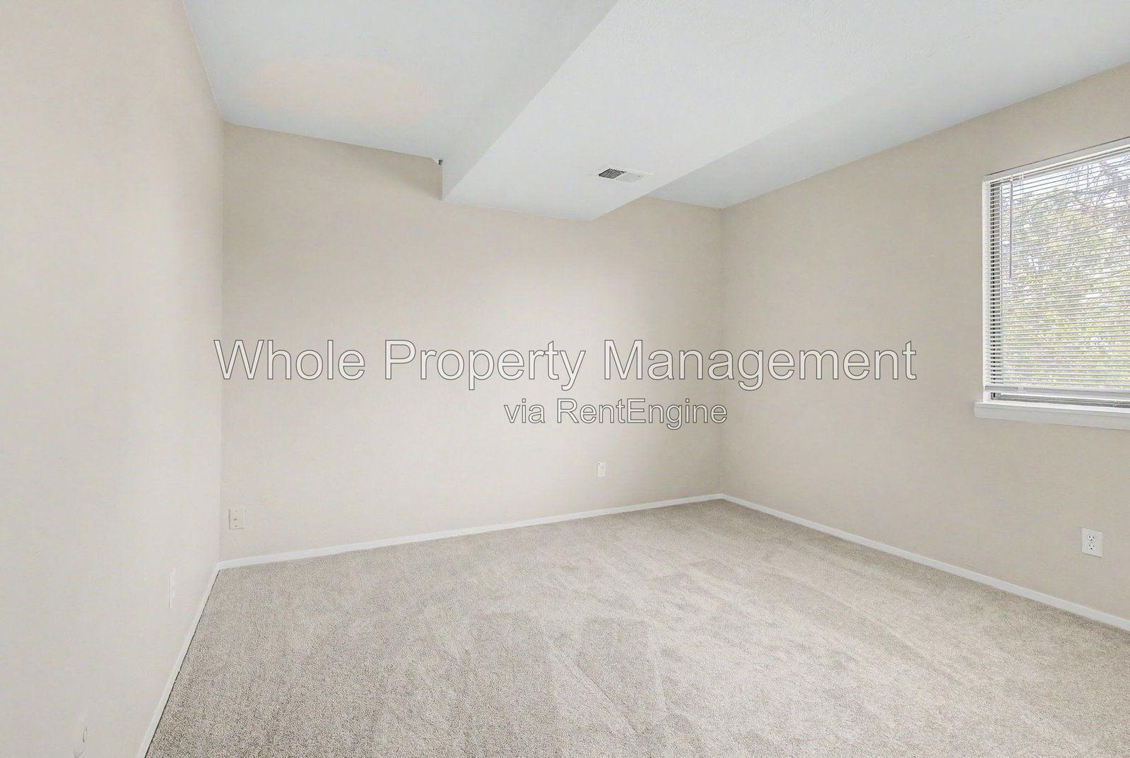 Gallery Image 19