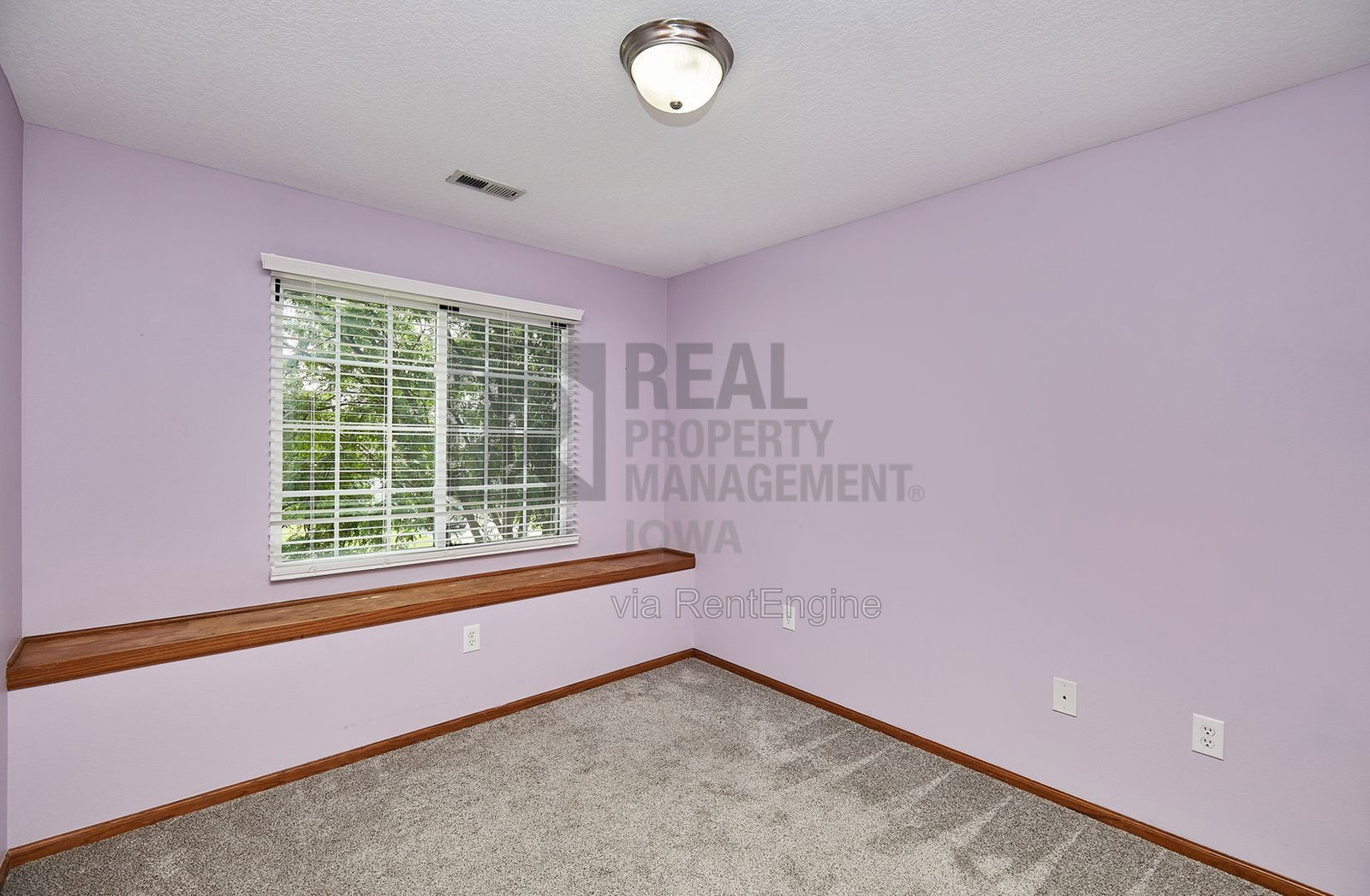Gallery Image 19