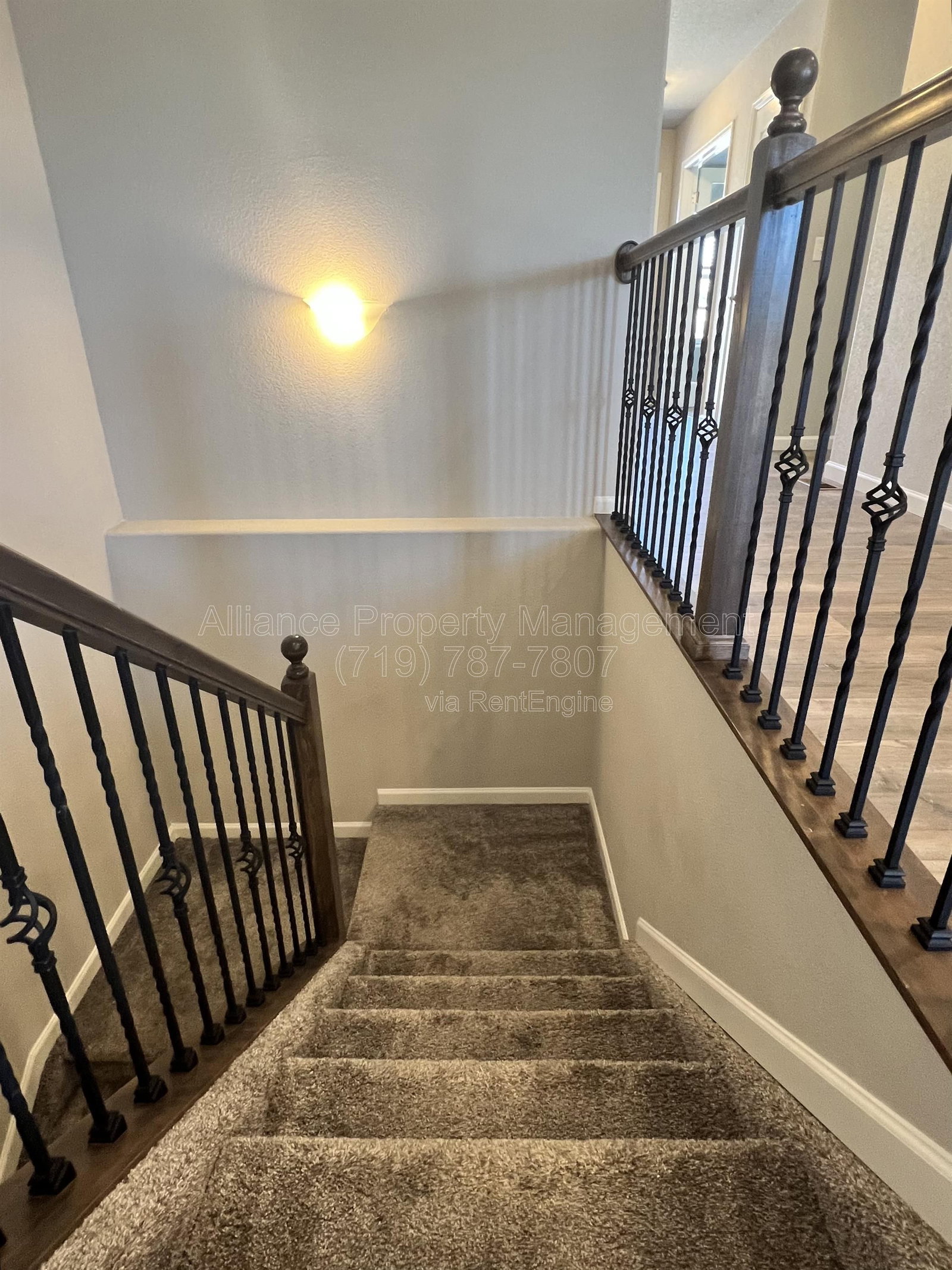 Gallery Image 20