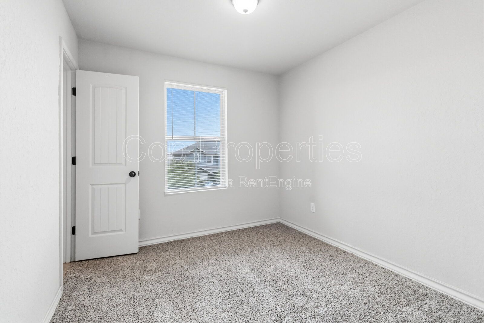 Gallery Image 16