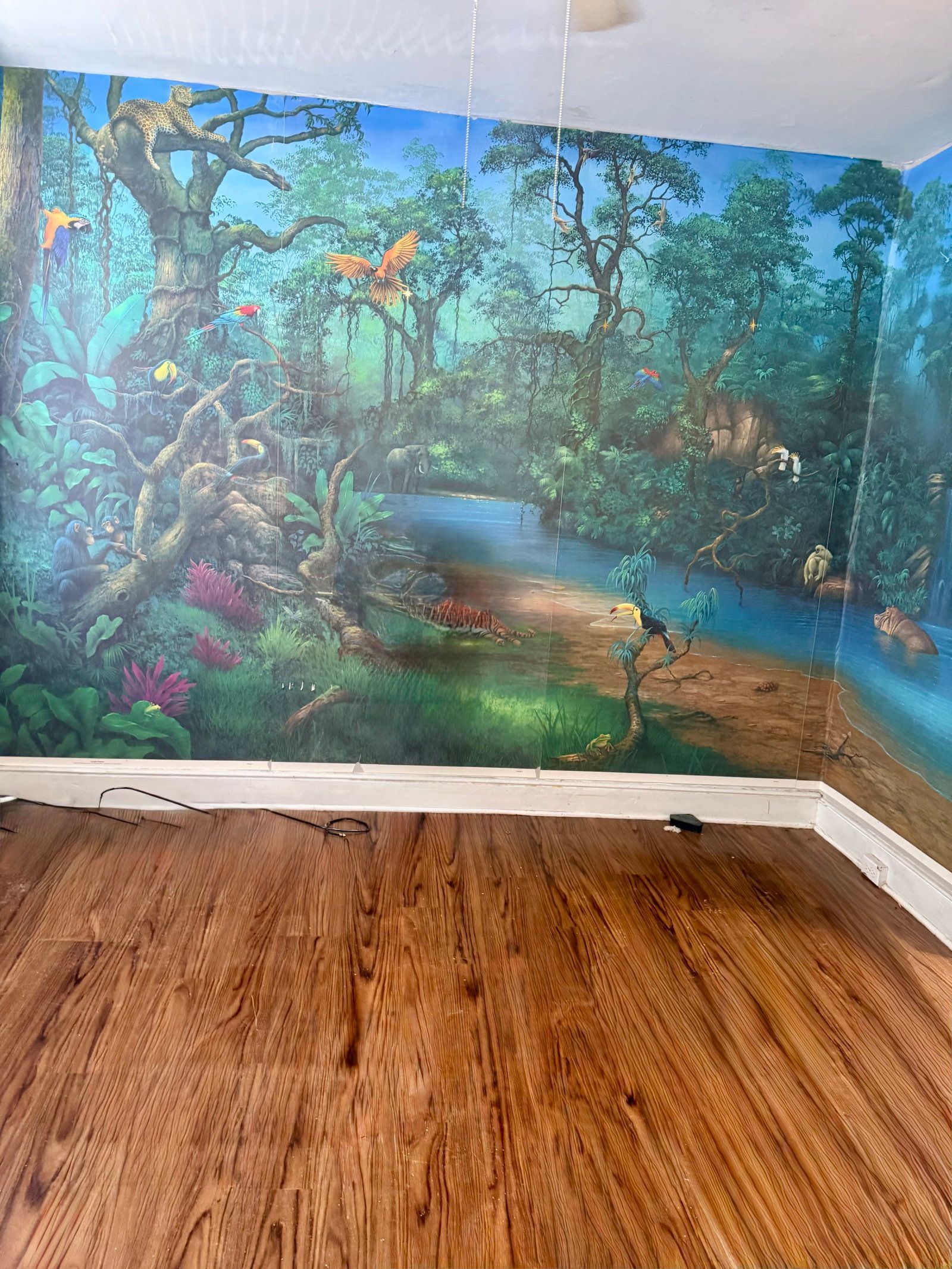 Gallery Image 1