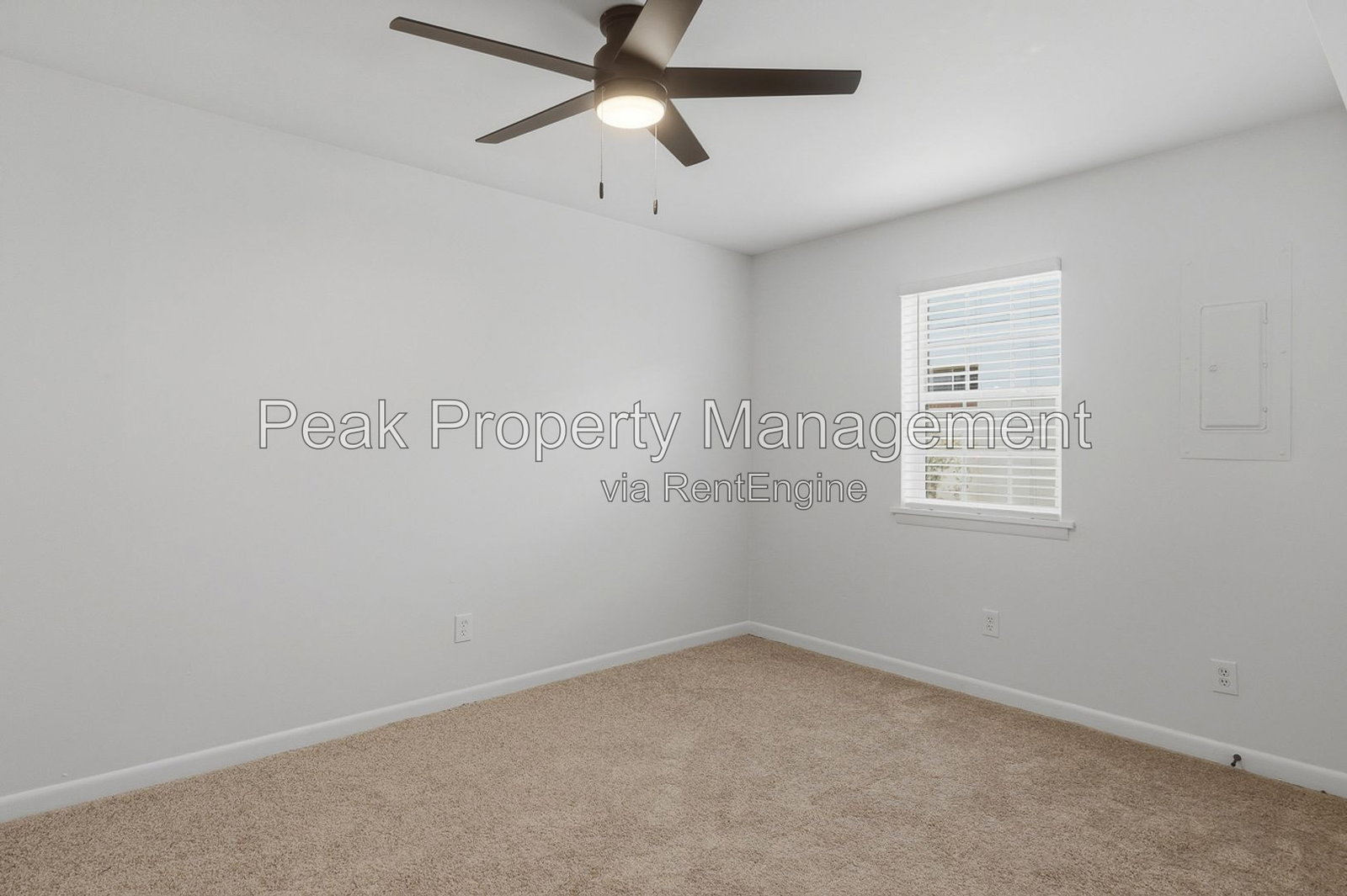 Gallery Image 0
