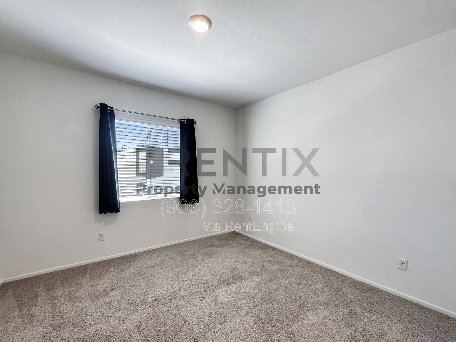 Gallery Image 19