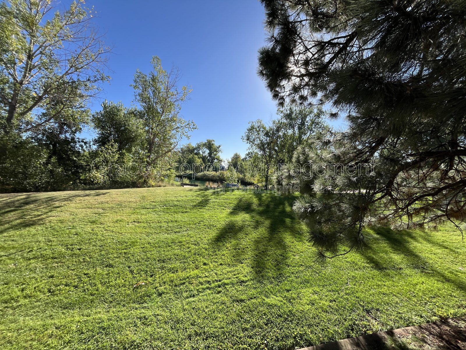 Gallery Image 16