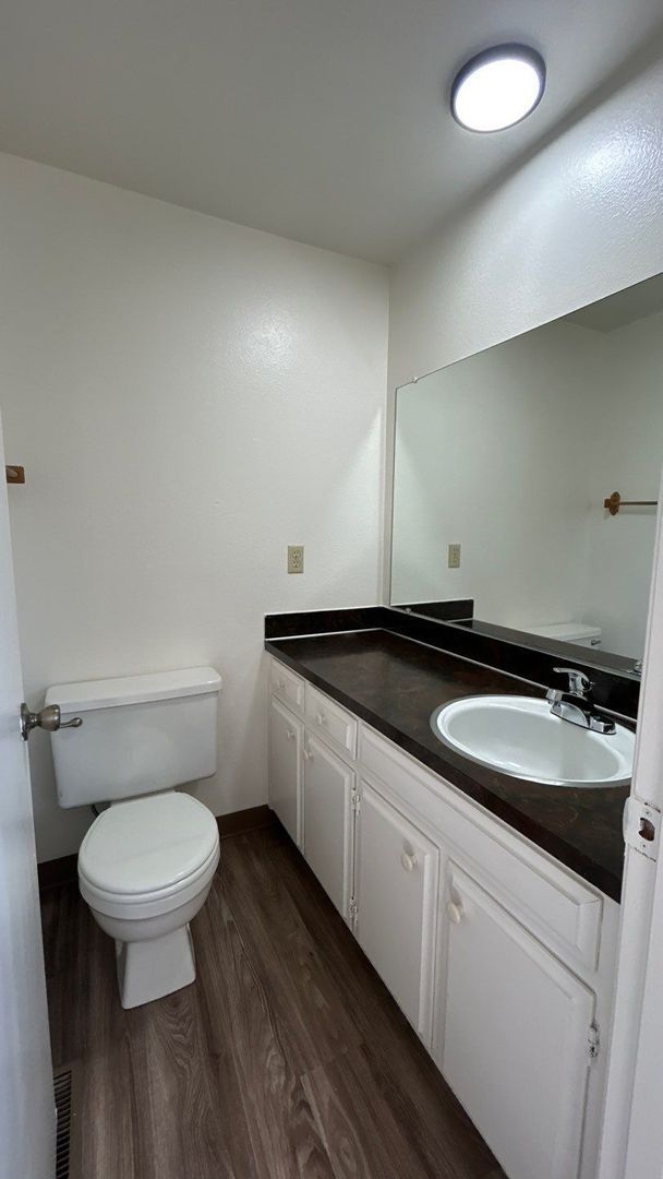 Gallery Image 19