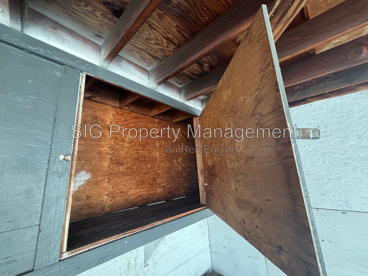 Gallery Image 19