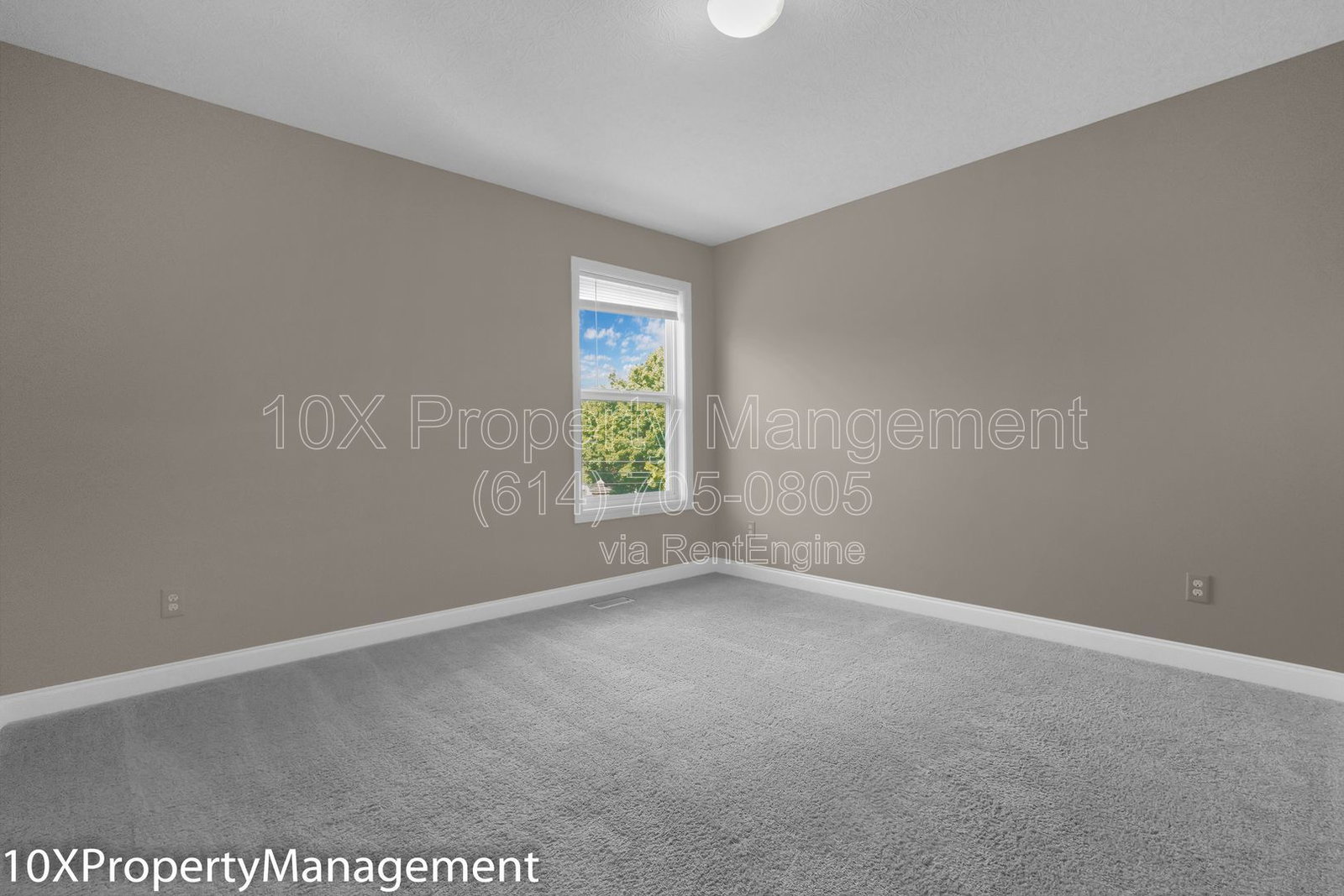 Gallery Image 18