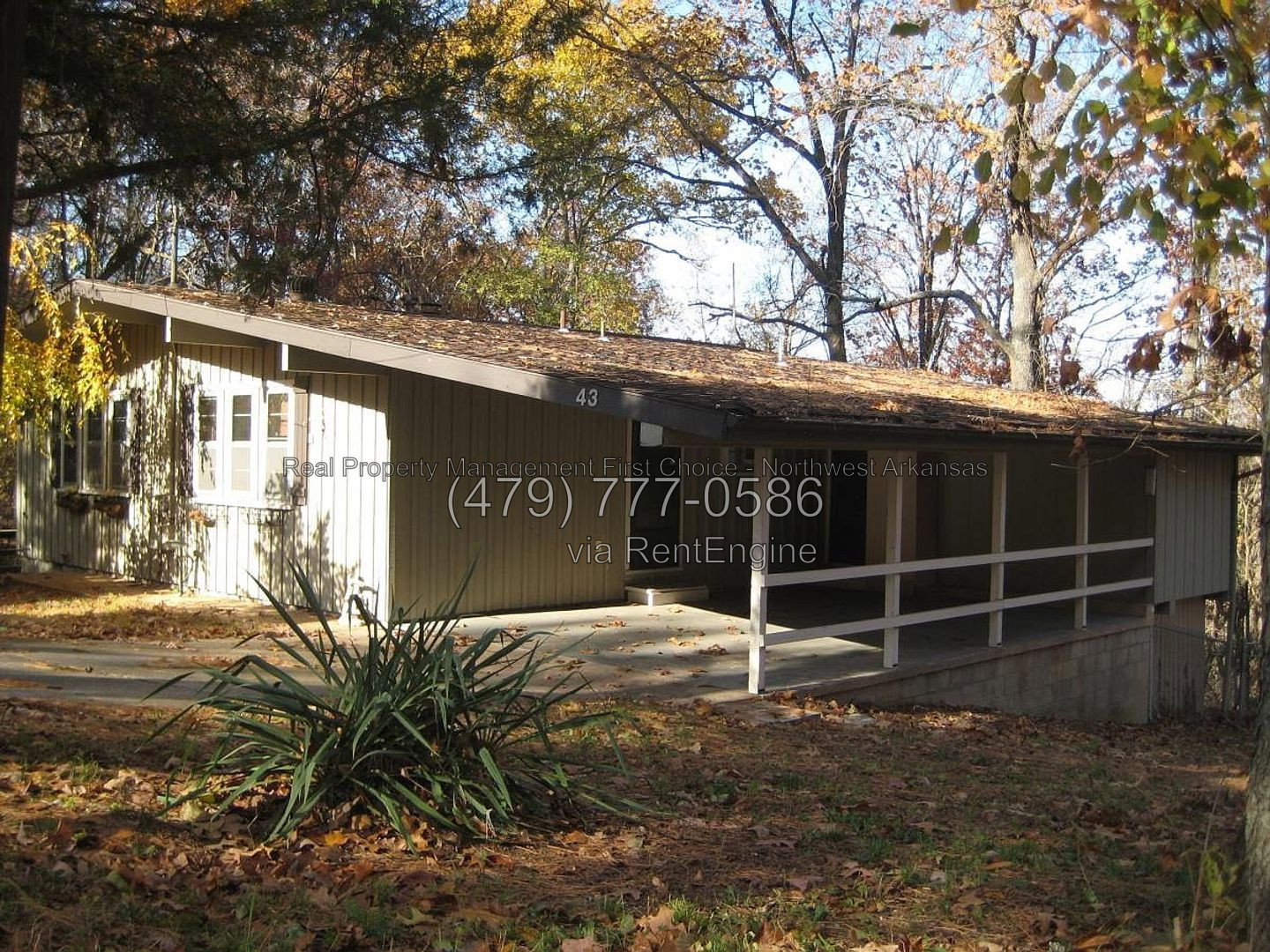 Gallery Image 0