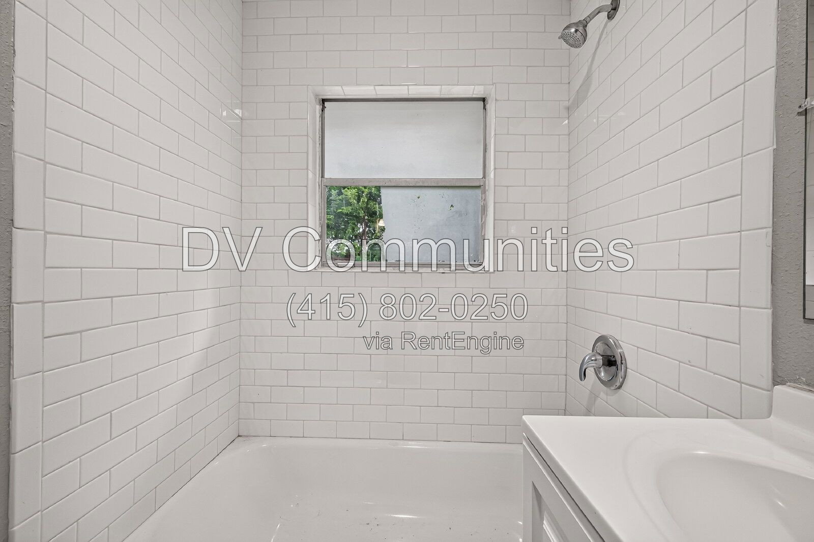 Gallery Image 29