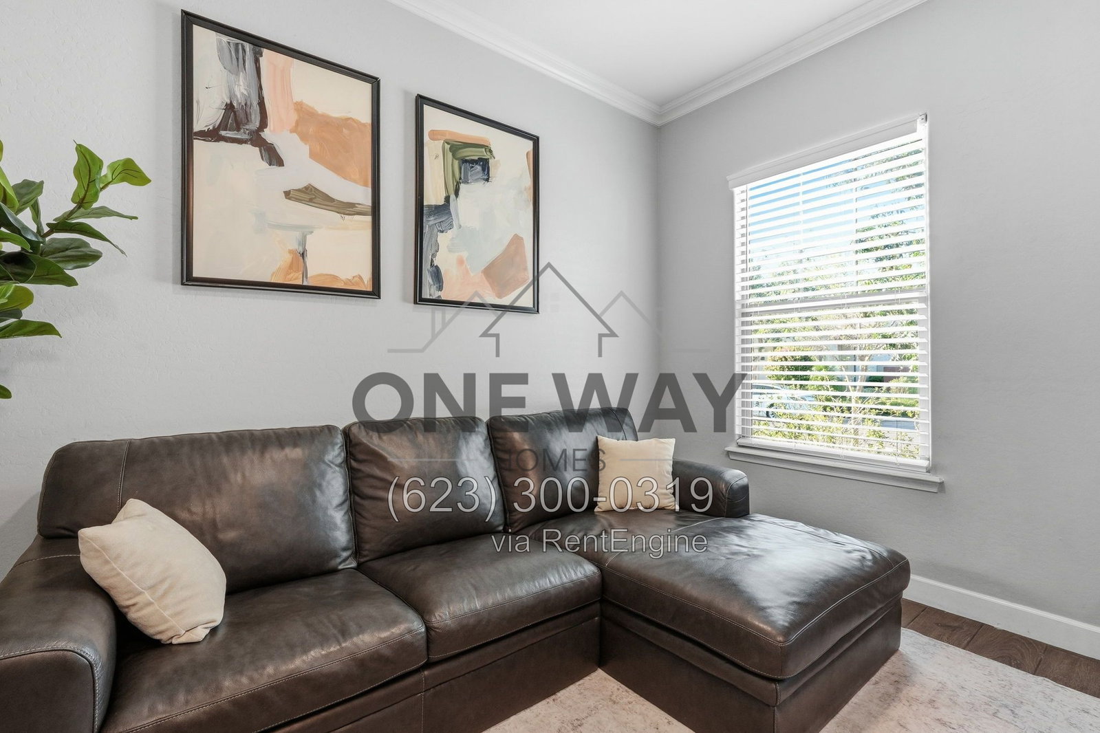 Gallery Image 35