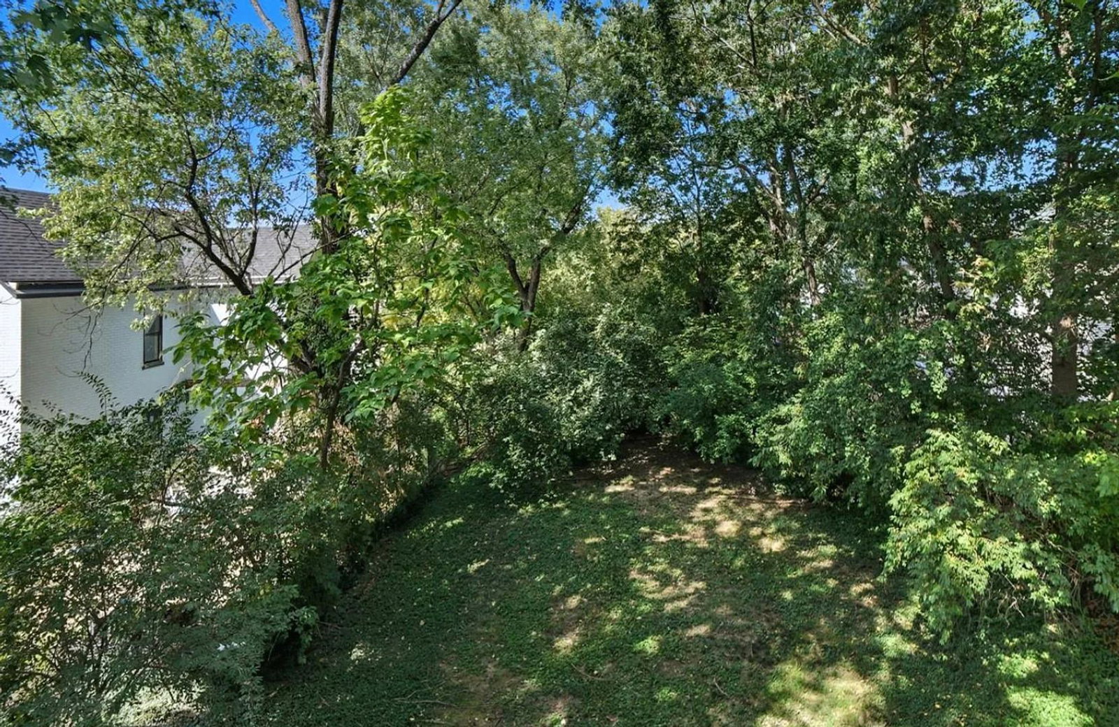 Gallery Image 25