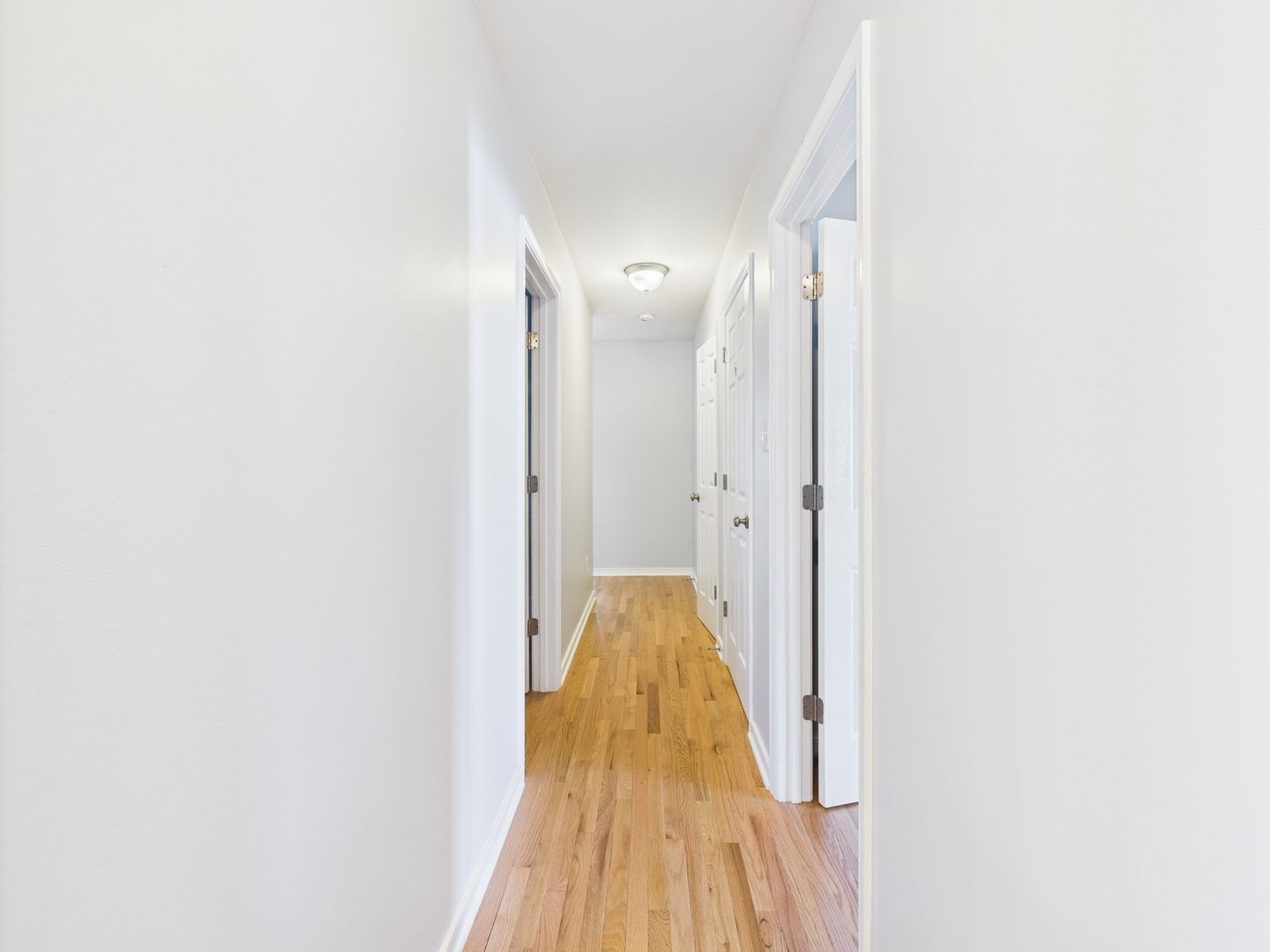 Gallery Image 18
