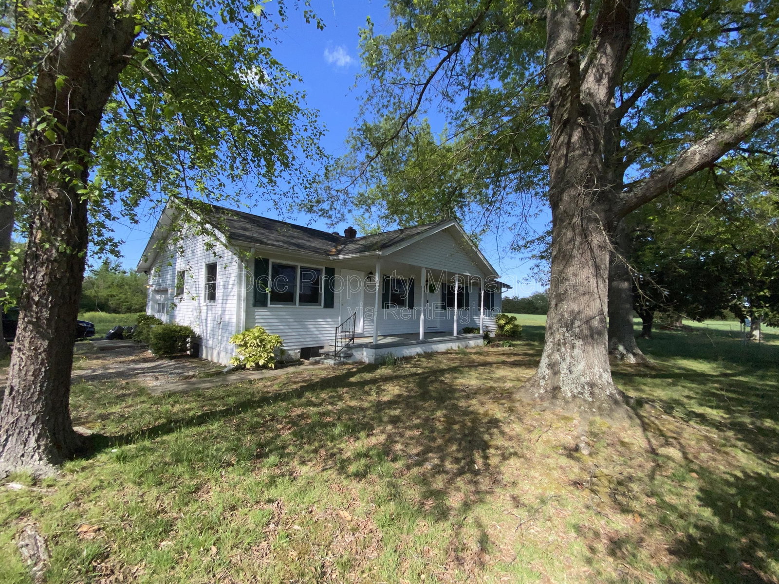Gallery Image 0