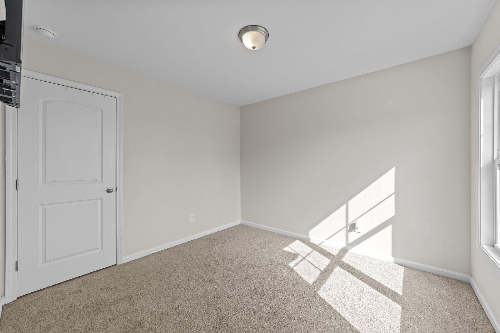 Gallery Image 20