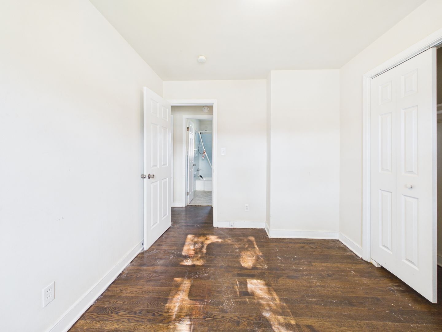 Gallery Image 18