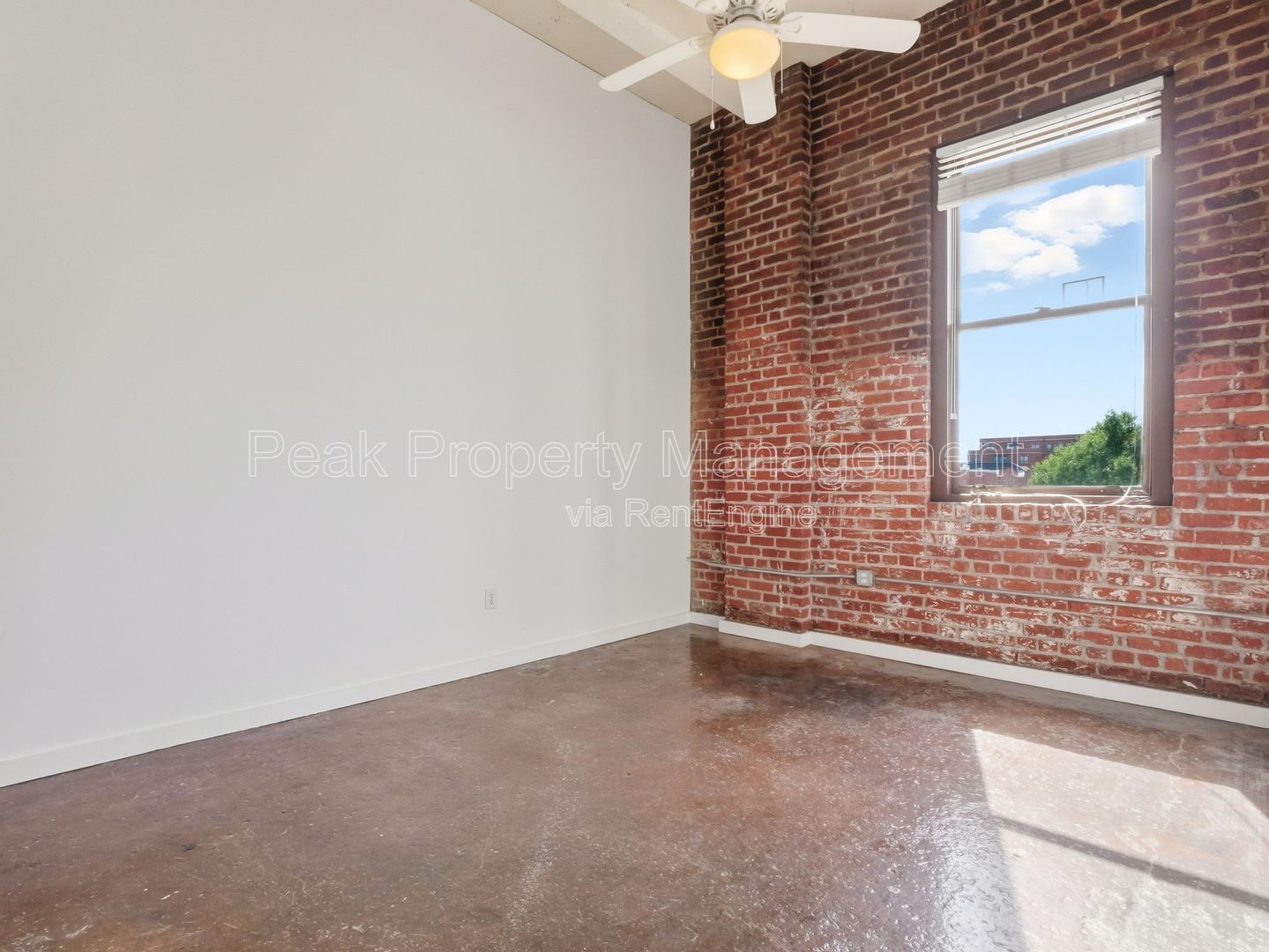 Gallery Image 8