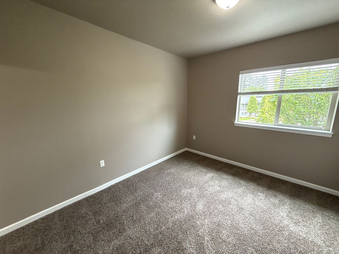 Gallery Image 19