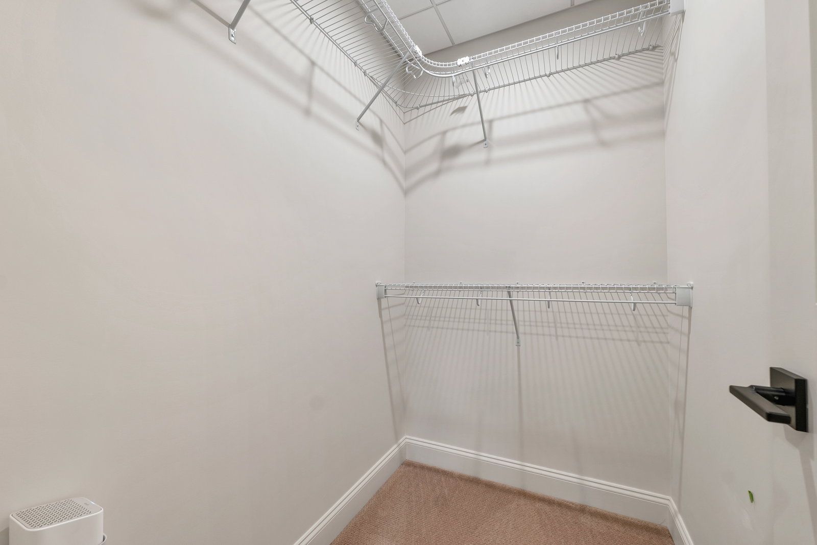 Gallery Image 19