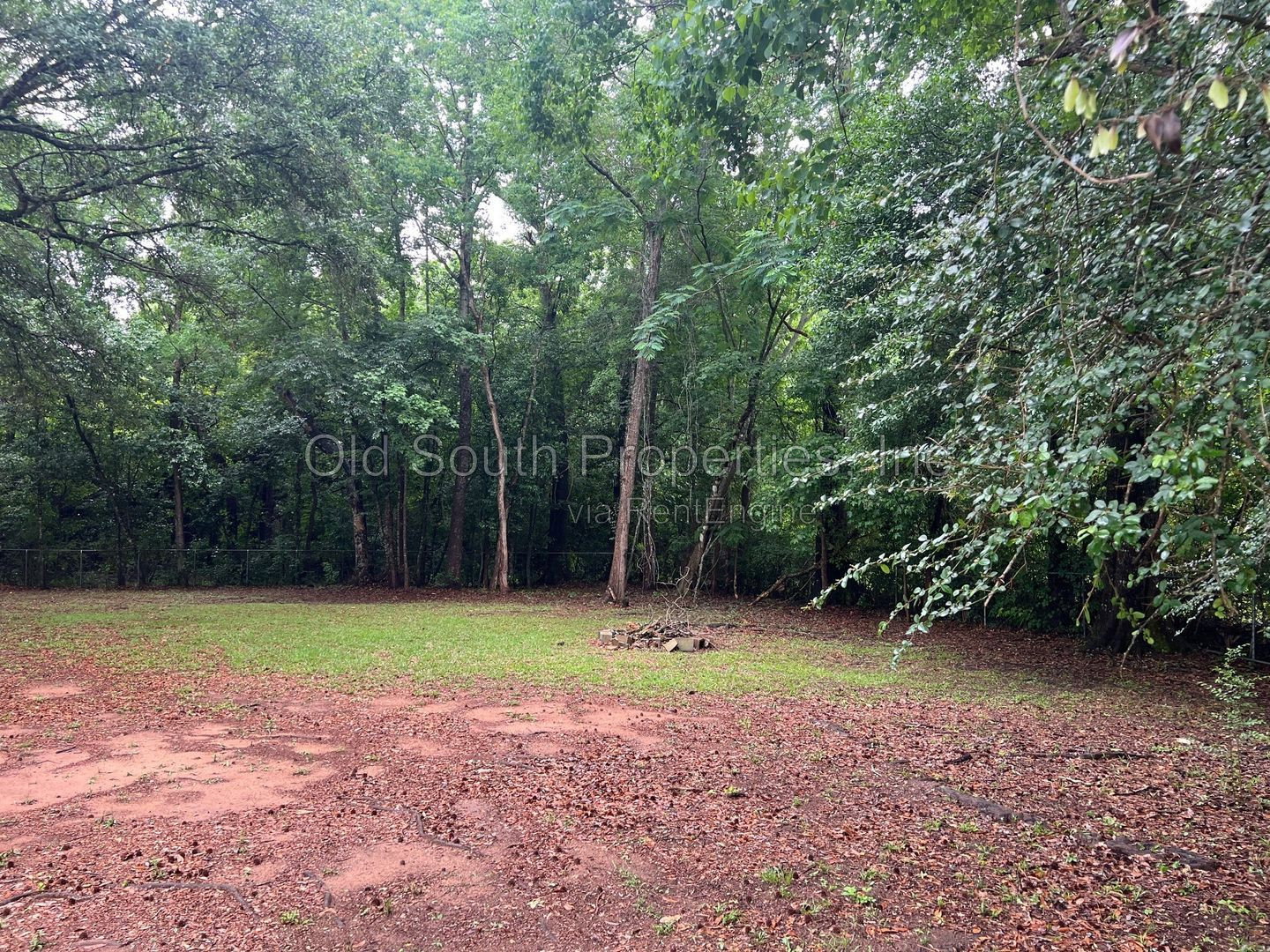 Gallery Image 14