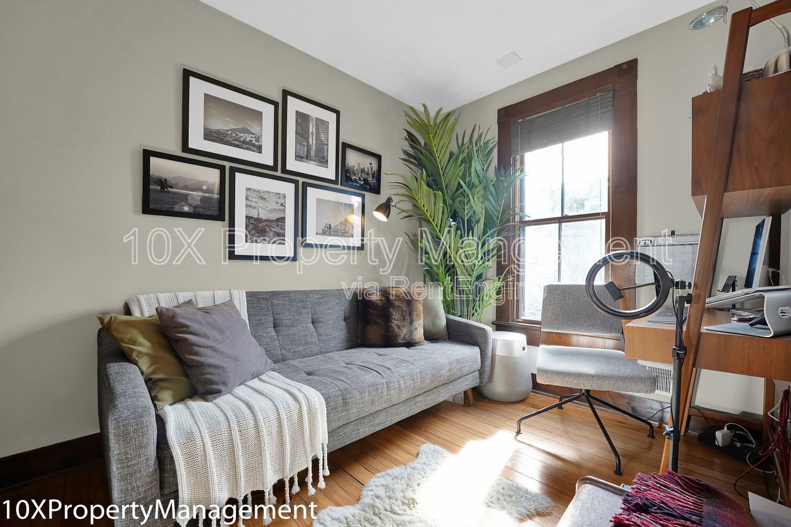 Gallery Image 16