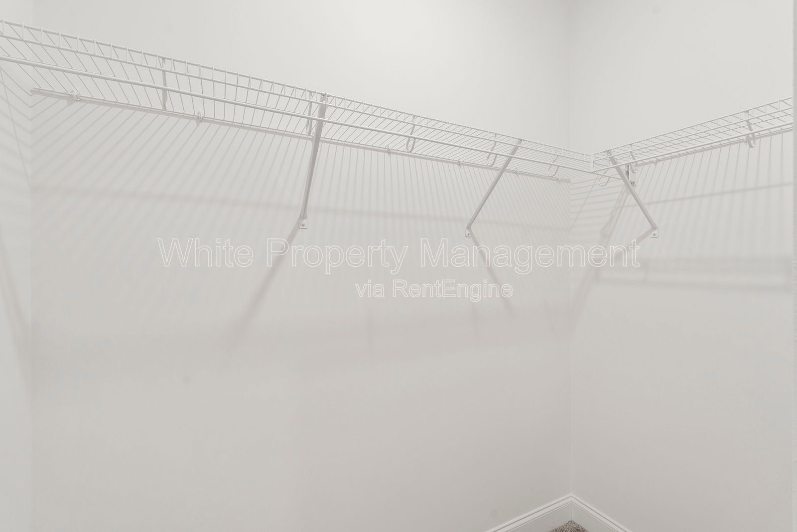 Gallery Image 19